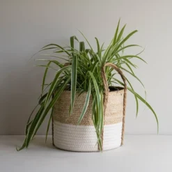 Natural Woven White Seagrass & Rope Basket - Foreside Home & Garden -IRIS Storage Deals Store GUEST 0b8366d4 5025 4237 bb35 6ad4f5abee7d