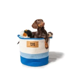 IRIS Storage Deals Store -IRIS Storage Deals Store GUEST 26812727 d579 419b 819b c1de04f712dc