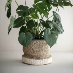 White Rope & Seagrass Basket - Foreside Home & Garden -IRIS Storage Deals Store GUEST 53816324 09cf 46e1 84c5 cd41432c8d09