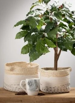 IRIS Storage Deals Store 5 Sullivans Set Of 2 Basket Maize & Natural Basket 7"H & 7.5"H Off-White