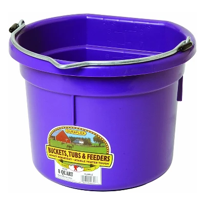 Little Giant P8FBPURPLE 2 Gallon All Purpose Heavy Duty Farm Flat Back Plastic Buckets For Supplies, Toys, Laundry, And Water, Purple, (12 Pack) 1 Little Giant P8FBPURPLE 2 Gallon All Purpose Heavy Duty Farm Flat Back Plastic Buckets For Supplies, Toys, Laundry, And Water, Purple, (12 Pack)