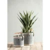 Assorted Set Of 2 Sierra Planter Baskets - Shiraleah