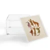 Iveta Abolina Adria Cheetahs 4" X 4" Acrylic Box - Deny Designs