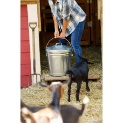 Behrens 6gal Embossed "Feed & Seed" Galvanized Steel Locking Lid Storage Can Silver 7 Behrens 6gal Embossed "Feed & Seed" Galvanized Steel Locking Lid Storage Can Silver -IRIS Storage Deals Store GUEST e50c5ab5 88c3 49de 88f1 25854a92b28f