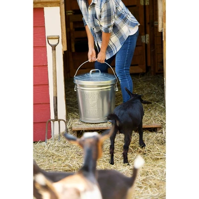 Behrens 6gal Embossed "Feed & Seed" Galvanized Steel Locking Lid Storage Can Silver 3 Behrens 6gal Embossed "Feed & Seed" Galvanized Steel Locking Lid Storage Can Silver - Image 3