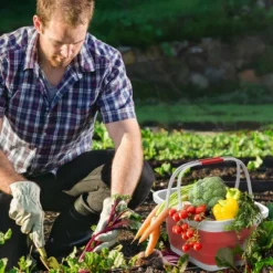 Hastings Home Collapsible Space-Saving Pop Up Handbasket And Storage Bin - Red -IRIS Storage Deals Store GUEST e9e9f5b7 7371 4e74 ada2 c4f0511789ca