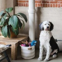 Midlee Dog Toy Rope Cotton Basket -IRIS Storage Deals Store GUEST f83d9c22 45a6 46c1 94a8 77b92bdeb646